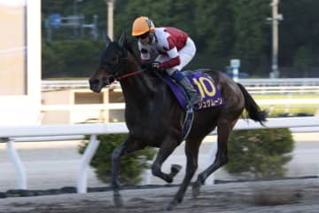 【高知・黒潮皐月賞】ジュゲムーンが5馬身差の完勝！高知クラシック三冠へ第一歩