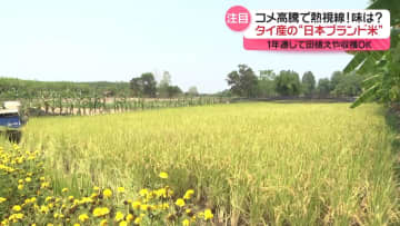 コメ高騰で外国産米に注目　1年通じて田植えや収穫OK…タイ産の“日本ブランド米”その味は？