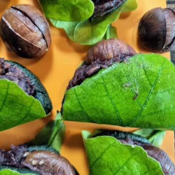 こどもの日！柏餅！2色3種の柏餅！とろしめ鯖の巻き寿司高菜巻き！