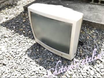 倉庫に主みたいに住み着いていた大物をやっと処分
