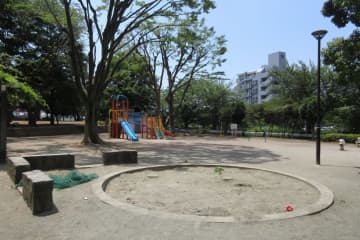 30年前に親子が公園で遊んでいた写真　父親のあり得ないコケ方に「アニメや漫画のよう」と思わず笑ってしまう