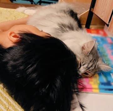 「おばけが怖いからリビングで寝る男の子」に添い寝する猫　普段は見せない行動からわかる心理は？｜獣医師解説