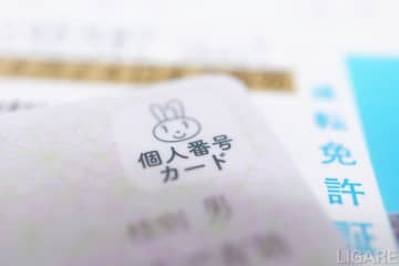 マイナンバーカード活用取り組みまとめ【2025年1月～2025年5月】