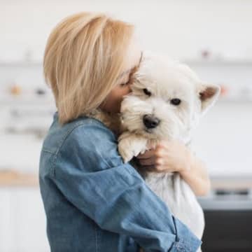 犬が抱っこを嫌がっているときの仕草4つ　拒んでいる理由から愛犬を守るための改善策まで