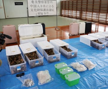 ヤドカリ数千匹所持疑い、奄美　中国籍の3人逮捕