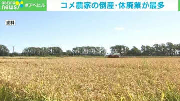 コメ農家の倒産・休廃業が2024年の1年間で89件 調査開始以来で最多