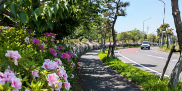【2025年5月6月】浦安市イベント情報はこちらから！