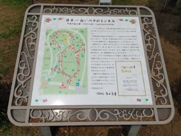 【埼玉】見頃が気になる！ 日本一長いバラのトンネルなど♪人気記事9選