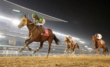 ウシュバテソーロが引退　26億円超獲得、日本馬1位