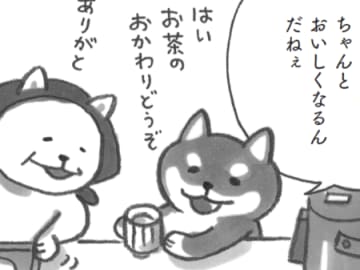 元気出たーっ！「やさしく作ると、ちゃんと美味しくなるんだね～」【柴犬食堂#16】