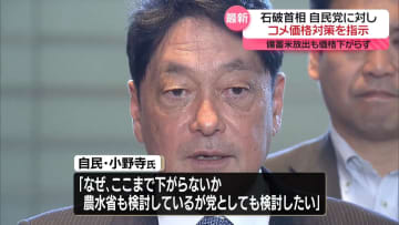 備蓄米放出もコメ価格下がらず…石破首相、対策を指示