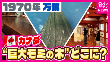 1970年大阪万博『レガシー』パビリオンが集会所・ラーメン店・お寺で活用　開催中の大阪・関西万博では「大屋根リング」出品中　財力と土地をお持ちの方はぜひ入札を？