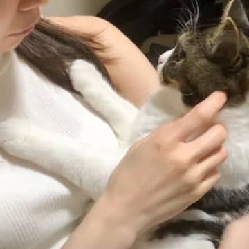 『大きな雷の音にビビった猫』→ママのそばへと行くと……まさかの姿が可愛すぎると29万再生「ママがいてくれてよかった」「怖いよね」