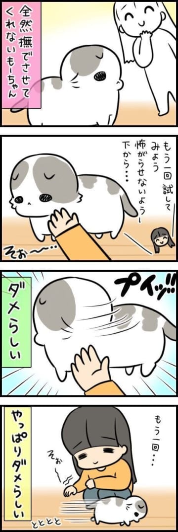 撫でられる日を夢見て。怖がりな愛猫が教えてくれた、愛情の育て方【連載】もふもふスコたん#349