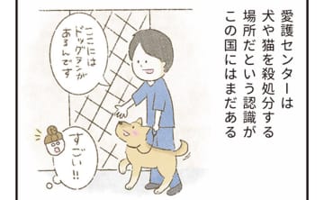 「動物愛護センター」は殺処分の場所?　実際に訪れて見えた、犬猫のリアルな表情【たまさんちのホゴイヌ②】