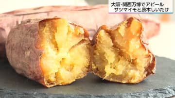 関西万博で宮崎の自信作「焼き芋」登場！くしまアオイファームが描く世界戦略、宮崎サツマイモの可能性を探る