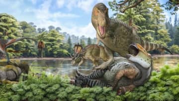 Ｔ・レックスの祖先、７０００万年前にアジアから北米に到達か　新研究