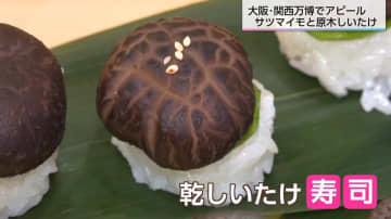 「乾しいたけ寿司」を万博で提供　ヴィ―ガンの人も食べられる、アワビのような食感と原木栽培のうまみ　万博を乾しいたけを守るきっかけに