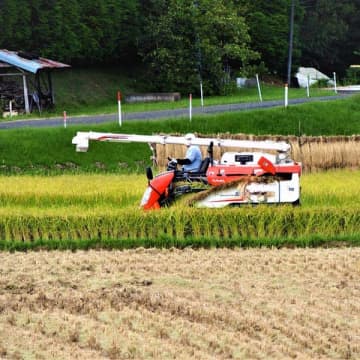 トランプ関税の交渉カード「コメの輸入枠拡大」が日本の農業を潰すワケ