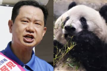 二階俊博の三男・伸康氏　参院選立候補で思わぬ神風　和歌山県に“パンダを取り戻す”父の中国パイプ活用へ