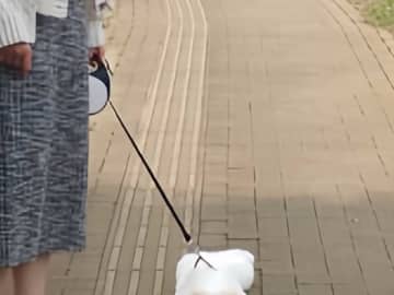 自転車ですれ違った年配女性　笑った理由が？「これは笑う」「二度見不可避」