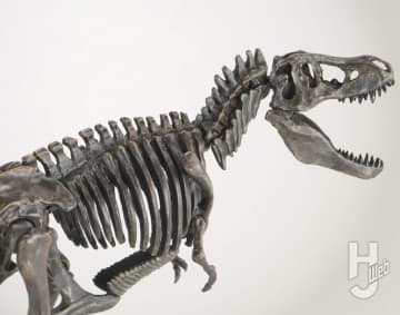 【新連載】「プラノサウルス復元プロジェクト」！ティラノサウルスを化石標本や骨格図をもとに工作&塗装！まるで本物のような仕上がりに！