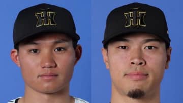 セ・打者成績　主要タイトルを阪神勢が独占　打率.343の森下翔太は6試合連続安打　佐藤輝明は2部門トップ