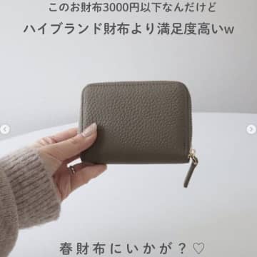 ミニ財布「しまむら・楽天市場も！」「お値段以上で高見え！」コスパ最強★4選