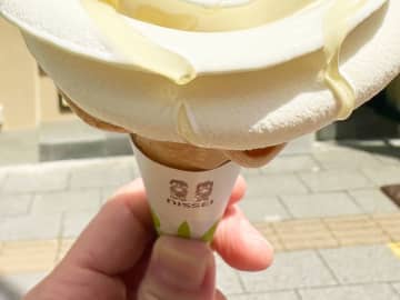 秋葉原で見つけたソフトクリーム　独特なビジュアルに「食べたい、食べたい！」