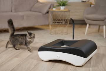 ニャンコのウンチを自動処理！健康管理もしてくれる猫用スマートトイレシステム「PetyPot」