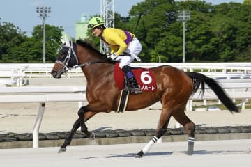 地元のキミノハートが主導権を握って逃げ切りV！吉見真幸調教師＆田野豊三騎手のコンビでうれしい重賞初制覇