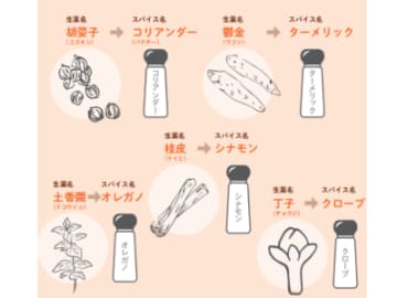 デトックスの漢方は自分でつくれる!?【眠れなくなるほど面白い 図解 デトックスの話】