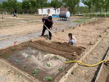 シェア菜園が中国の都市住民に心のよりどころを提供