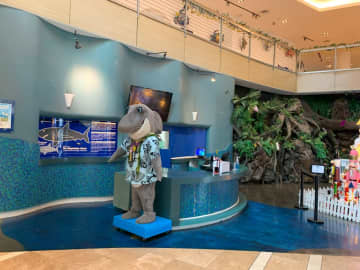 グアムの水族館「アクアリウム オブ グアム」ってどんなところ？基本情報やおすすめポイントなど解説♪