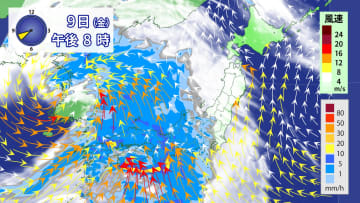 雨雲通過中　きょうは西日本で警報級の大雨も　風も強く荒天注意　今夜からあす午前中は関東が雨風のピークに
