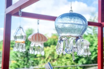 京都水族館で、優雅にゆれる「くらげ風鈴」のイベントが今年も
