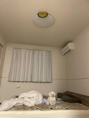 愛犬と遊んでいたら発生した〝悲劇〟に8.6万人驚がく　見上げる先に...「嘘でしょw」「こんな事あるんだwww」