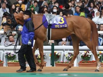 NHKマイル(GⅠ)で過去10年3着内すら入れていない【死の馬番】に入ってしまった不幸な2頭とは！？