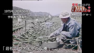 シリーズ「昭和１００年愛媛のつながる今昔」昭和時代の“４月２４日”をプレイバック。半世紀前の愛媛も春を感じるニュースが満載だった。