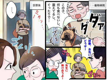 「うちの子もうダメかも」動物病院で大泣きするおばあさん → 直後、思わぬ展開に「うちもあります（笑）」