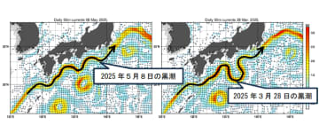 観測史上最長　8年近く続いた黒潮の「大蛇行」終息か　水産業などにも影響
