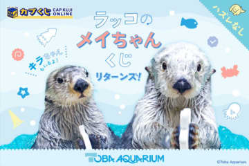 鳥羽水族館のアイドル「ラッコのメイちゃん」がハズレなしくじに！　S賞は“もちもち手触り”のメイちゃんポーチ