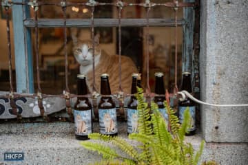 押し寄せる猫好きの観光客　台湾のさびれた炭鉱町は世界有数の猫スポットに