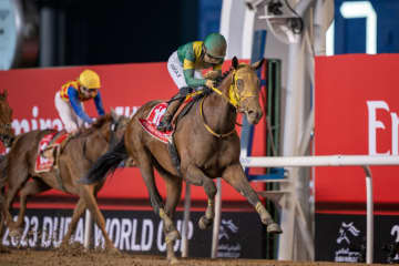 ウシュバテソーロの競走馬登録抹消…ドバイワールドカップをV