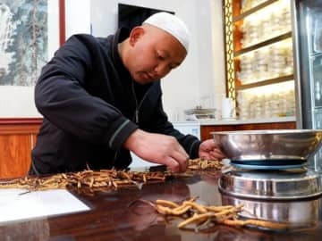 チベット高原の冬虫夏草、市場での取引がピーク迎える―中国