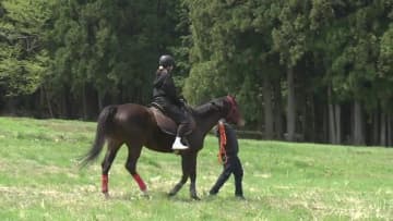 いざ極上の癒し旅へ　疲れた心をうるおす馬とのふれあい　浪江町「ノーマ・ホースヴィレッジ」で穏やかなひと時を【福島発】