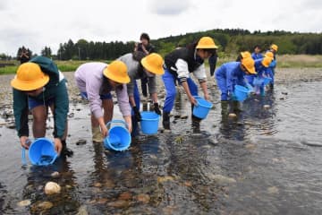 「元気に育ってね」　常陸大宮・大賀小児童　久慈川でアユ稚魚放流　茨城