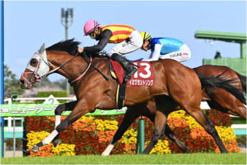 過去10年で優勝馬は２頭も今年は侮れないニュージーランドT組。イミグラントソングがアドマイヤズームよりも主軸たる理由【NHKマイルC】