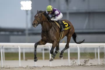 【名古屋グランプリ】サンライズジパングが重賞3勝目…高知シンメデージーは2着