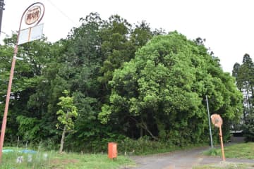 森林活用へバンク制度　所有者と利用者仲介　茨城・つくば市